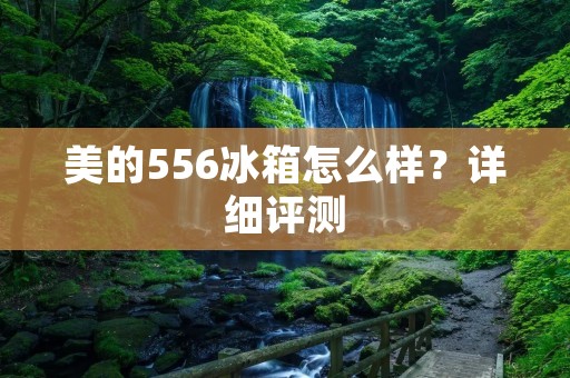 美的556冰箱怎么样？详细评测