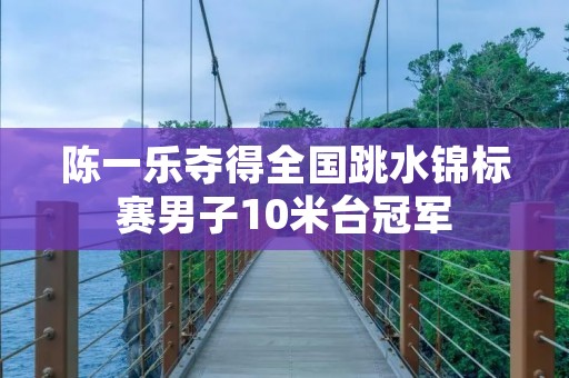 陈一乐夺得全国跳水锦标赛男子10米台冠军
