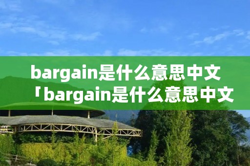 bargain是什么意思中文「bargain是什么意思中文翻译」