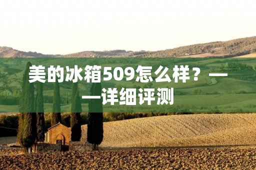 美的冰箱509怎么样？——详细评测