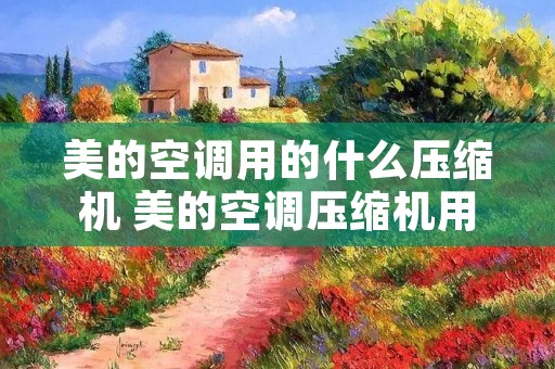 美的空调用的什么压缩机 美的空调压缩机用的什么牌子的