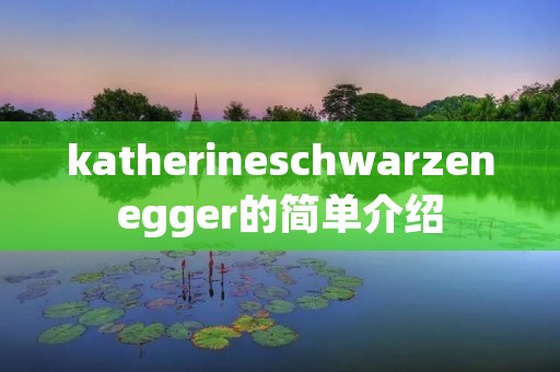 katherineschwarzenegger的简单介绍