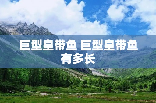 巨型皇带鱼 巨型皇带鱼有多长