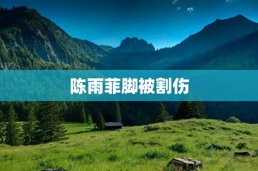 陈雨菲脚被割伤:探讨体育运动中的安全问题 陈雨菲脚被割伤:探讨体育运动中的安全问题