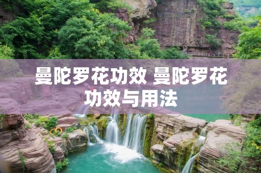 曼陀罗花功效 曼陀罗花功效与用法 曼陀罗花功效 曼陀罗花功效与用法