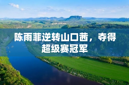 陈雨菲逆转山口茜，夺得超级赛冠军