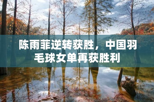 陈雨菲逆转获胜，中国羽毛球女单再获胜利