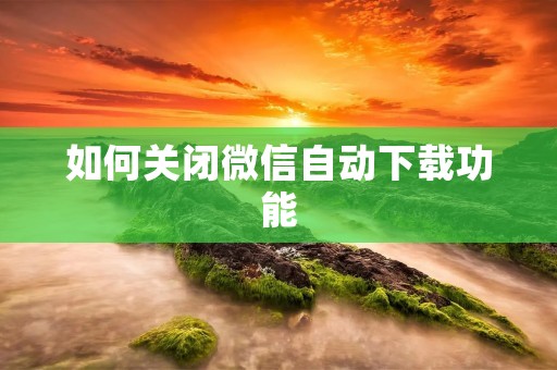 如何关闭微信自动下载功能