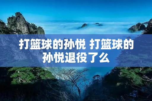 打篮球的孙悦 打篮球的孙悦退役了么