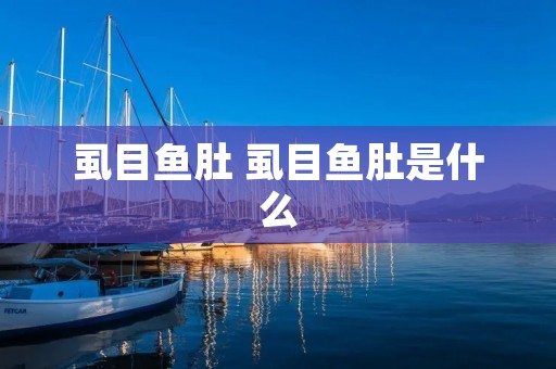 虱目鱼肚 虱目鱼肚是什么