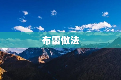 布雷做法：让数据隐私更安全的一种加密方式