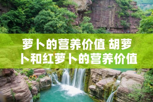 萝卜的营养价值 胡萝卜和红萝卜的营养价值