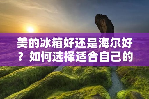美的冰箱好还是海尔好?如何选择适合自己的冰箱? 美的冰箱好还是海尔好?如何选择适合自己的冰箱?