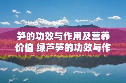 笋的功效与作用及营养价值 绿芦笋的功效与作用及营养价值