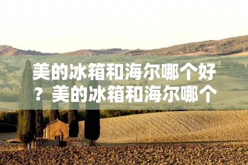 美的冰箱和海尔哪个好？美的冰箱和海尔哪个更适合你的家庭需求？