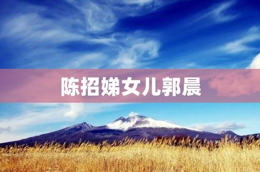 陈招娣女儿郭晨:成长路上的坎坷与收获 陈招娣女儿郭晨:成长路上的坎坷与收获