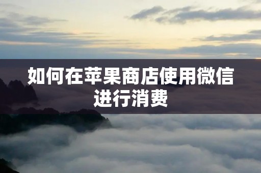 如何在苹果商店使用微信进行消费