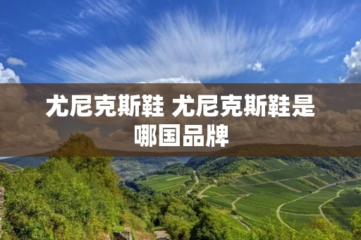 尤尼克斯鞋 尤尼克斯鞋是哪国品牌 尤尼克斯鞋 尤尼克斯鞋是哪国品牌