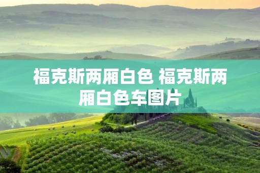 福克斯两厢白色 福克斯两厢白色车图片