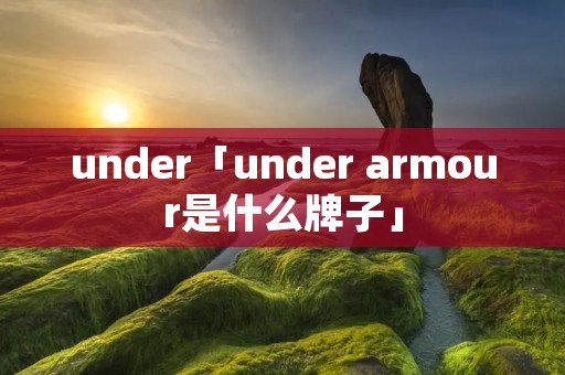 under「under armour是什么牌子」