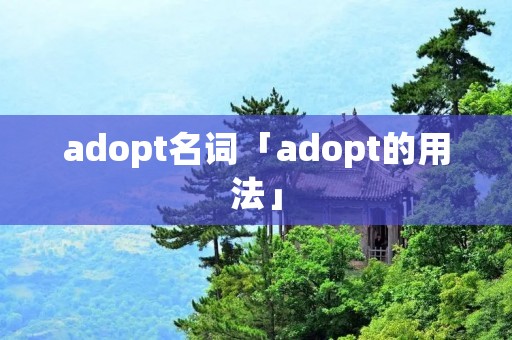 adopt名词「adopt的用法」