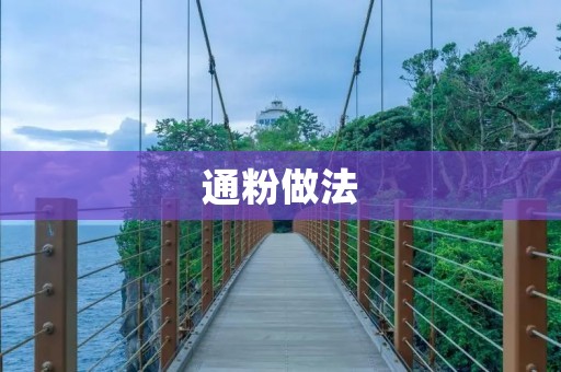 通粉做法：手把手教你制作美味通粉