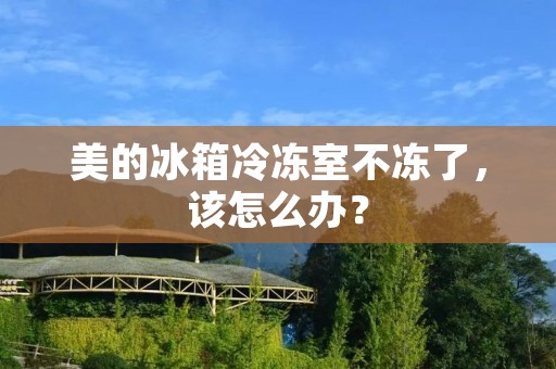 美的冰箱冷冻室不冻了，该怎么办？
