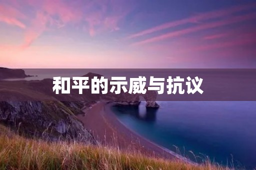 和平的示威与抗议
