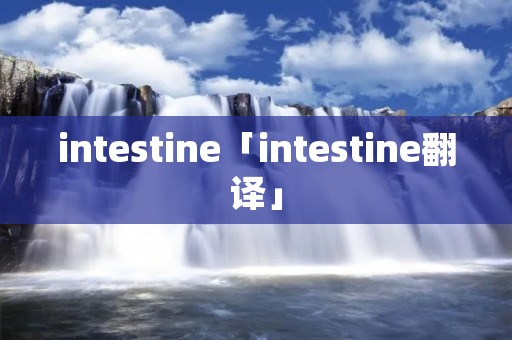 intestine「intestine翻译」 intestine「intestine翻译」