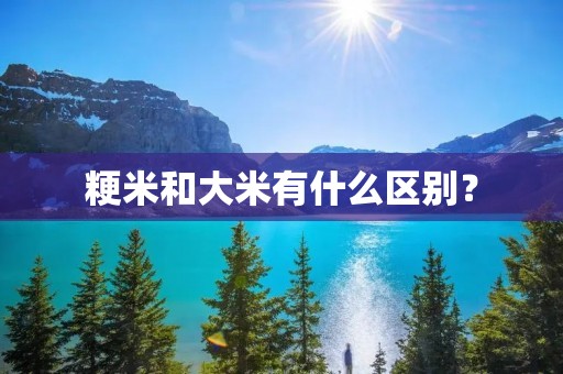 粳米和大米有什么区别?