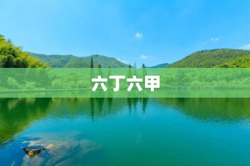 六丁六甲：一种广泛应用于工业领域的高分子材料