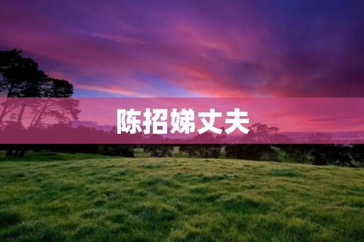 陈招娣丈夫：一个成功商人的背后故事