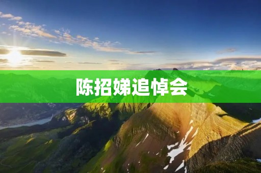 陈招娣追悼会：缅怀一位伟大的女性
