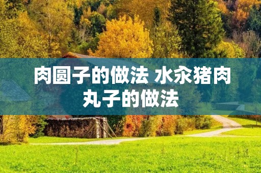 肉圆子的做法 水汆猪肉丸子的做法