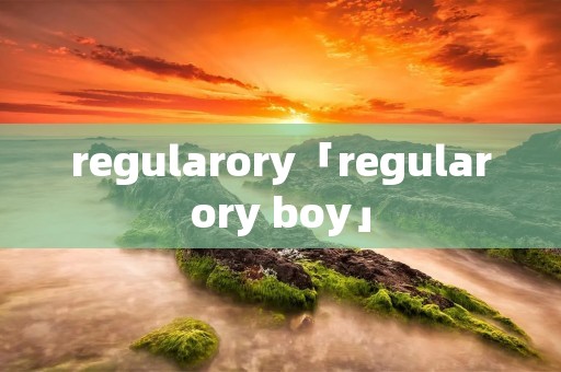 regularory「regularory boy」