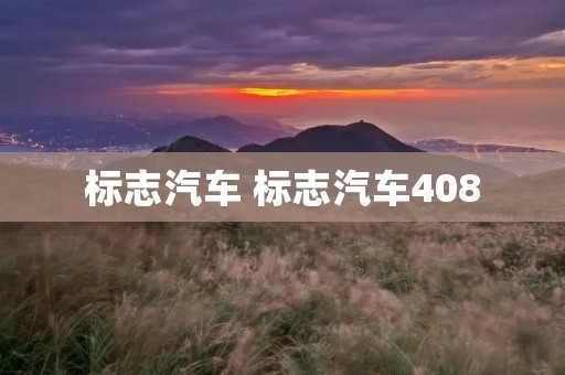 标志汽车 标志汽车408
