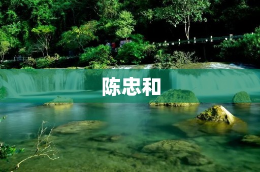 **和：从“杀人犯”到“中国好人”