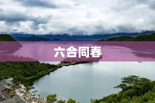 六合同春：春节期间的文化盛宴