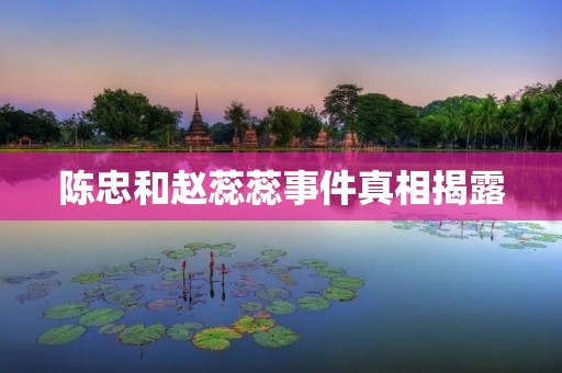**和赵蕊蕊事件真相揭露