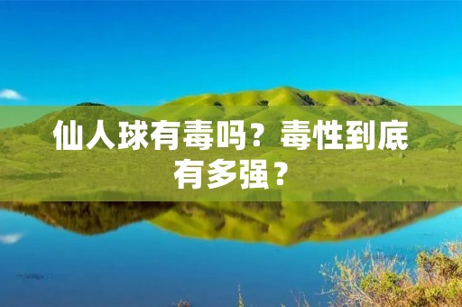 仙人球有毒吗?毒性到底有多强?