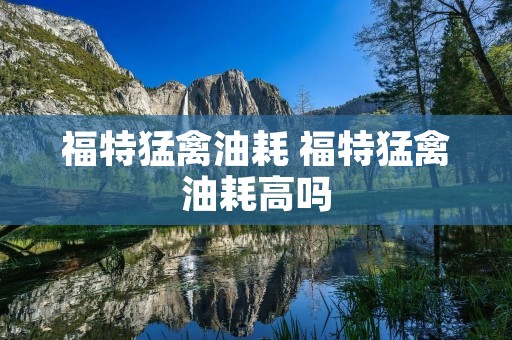 福特猛禽油耗 福特猛禽油耗高吗
