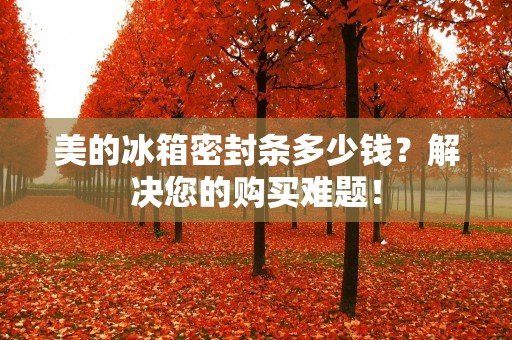 美的冰箱密封条多少钱？解决您的购买难题！