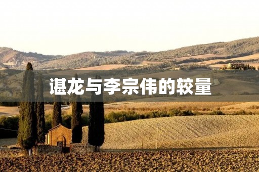 谌龙与李宗伟的较量：羽毛球世界第一的争夺战