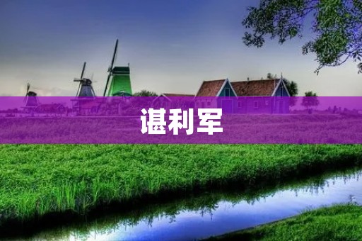 谌利军：一位拥有丰富经验的国际关系专家