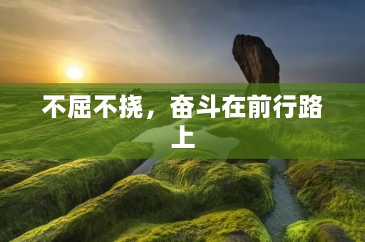不屈不挠，奋斗在前行路上