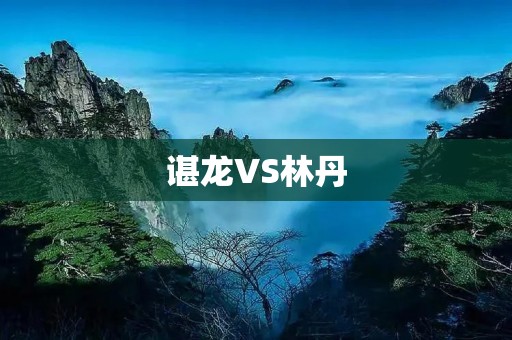 谌龙VS林丹：红色巨星的较量