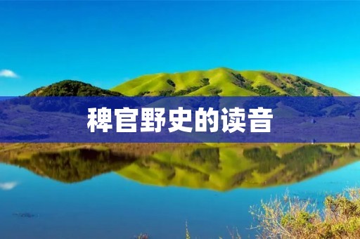 稗官野史的读音：探寻中国古代文学的瑰宝