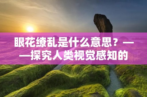 眼花缭乱是什么意思？——探究人类视觉感知的奥秘