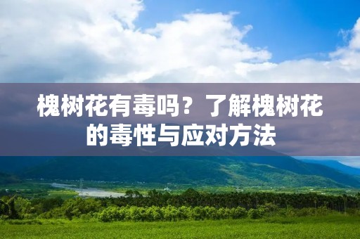 槐树花有毒吗?了解槐树花的毒性与应对方法