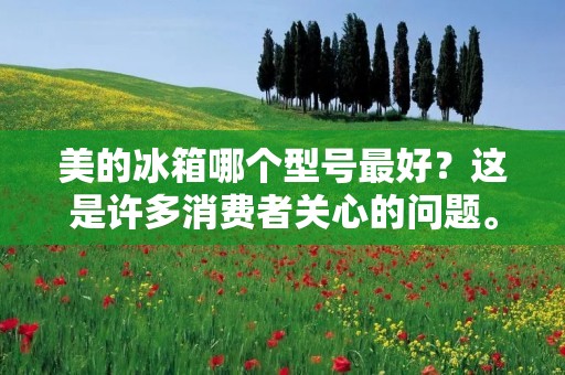 美的冰箱哪个型号最好？这是许多消费者关心的问题。毕竟，冰箱是家庭中必不可少的电器之一，它不仅能够为我们保鲜食物，还能够帮助我们提高生活品质。那么，美的冰箱有哪些型号是值得推荐的呢？接下来，就让我们来一探究竟。